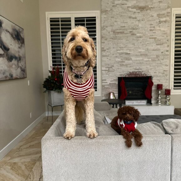 Meet your Posher, Sue :o) - Picture 4 of 5